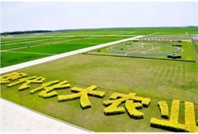 The modern agriculture of HeiLongJiang,China