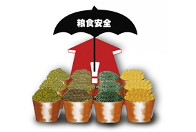 The safety of Chinese grain2