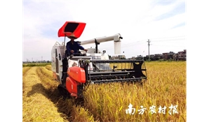 以“微农机”助力农业提质增效